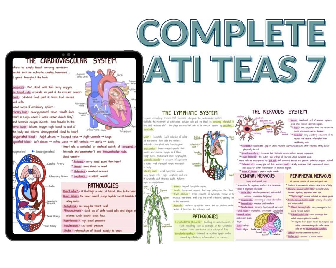Ati Teas 7 Study Guide Teas 7 Exam Preparation 2024 NARDAB