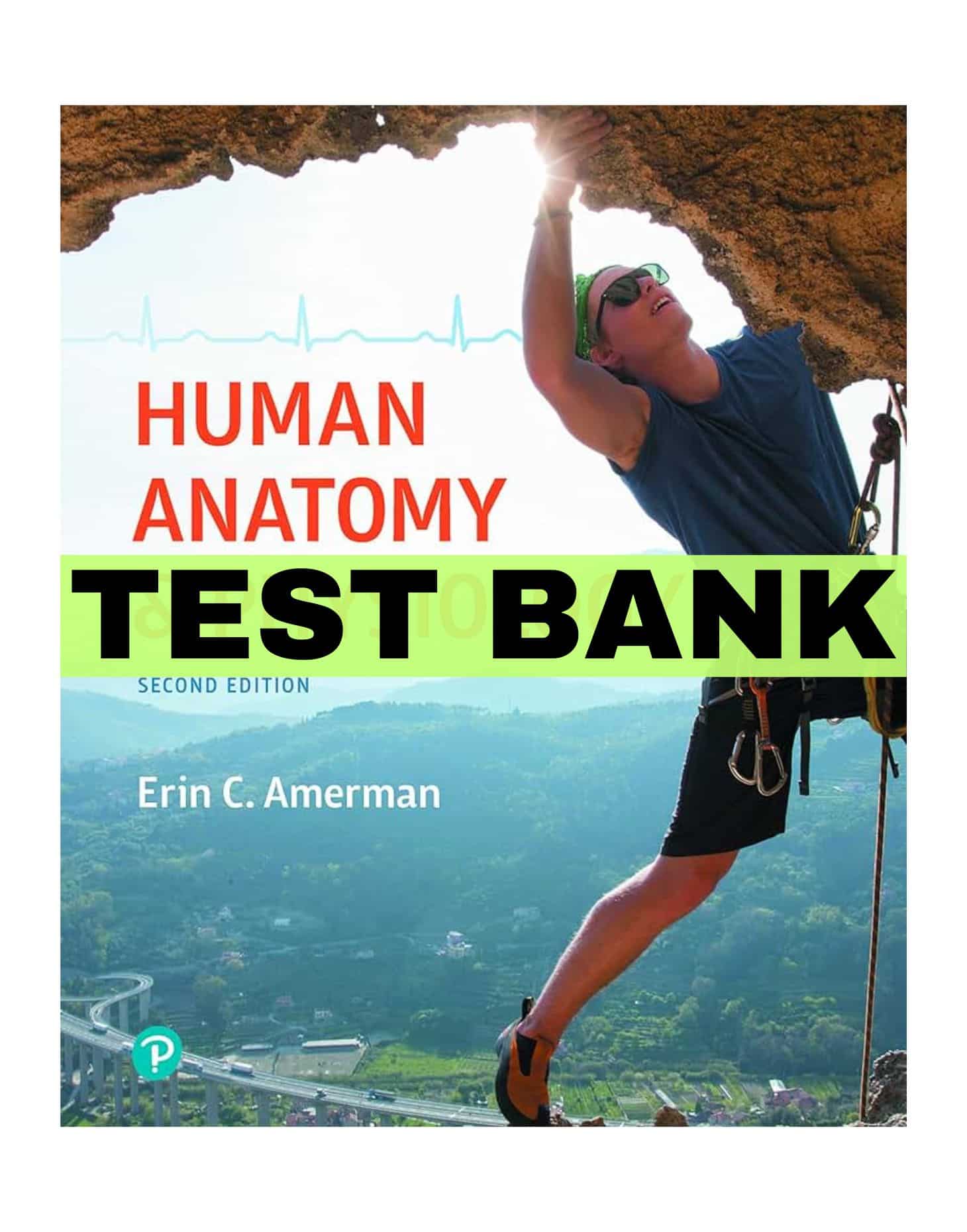 Test Bank For Human Anatomy And Physiology 2nd Edition By Amerman - NARDAB